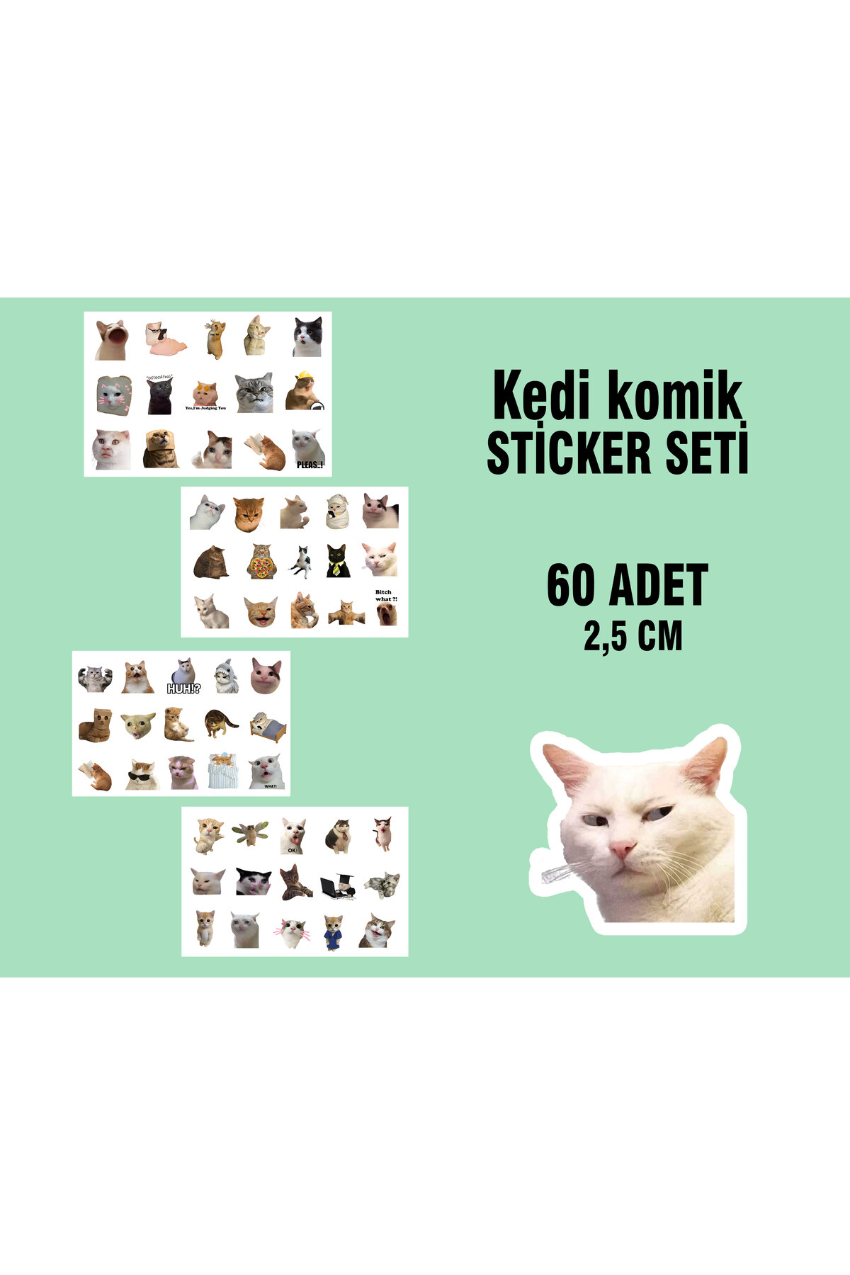 Kedi Komik Mood Bullet Journal Sticker Seti - 60 adet - Günlük