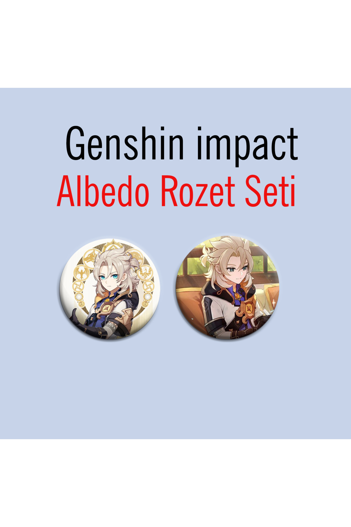 Genshin impact Albedo 2li Çanta Süsü Rozet-İğneli Buton Rozet Seti